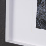 Cautious Gaze by Chad Mackay a Hand Embellished Framed Photo Art Print Matted under Glass from Mercana - Luna Furniture