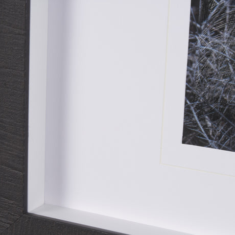Cautious Gaze by Chad Mackay a Hand Embellished Framed Photo Art Print Matted under Glass from Mercana - Luna Furniture