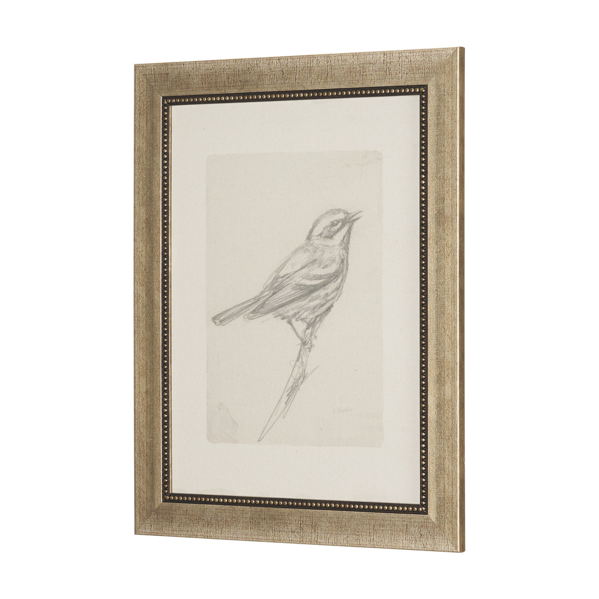 Soft Shadows (Set of 5) by Mercana Studio a Hand Embellished Framed Art Print from Mercana - Luna Furniture