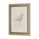 Soft Shadows (Set of 5) by Mercana Studio a Hand Embellished Framed Art Print from Mercana - Luna Furniture