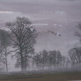 Cool Change by Nancy Crowell a Hand Embellished Framed Photo Art Print Matted under Glass from Mercana - Luna Furniture