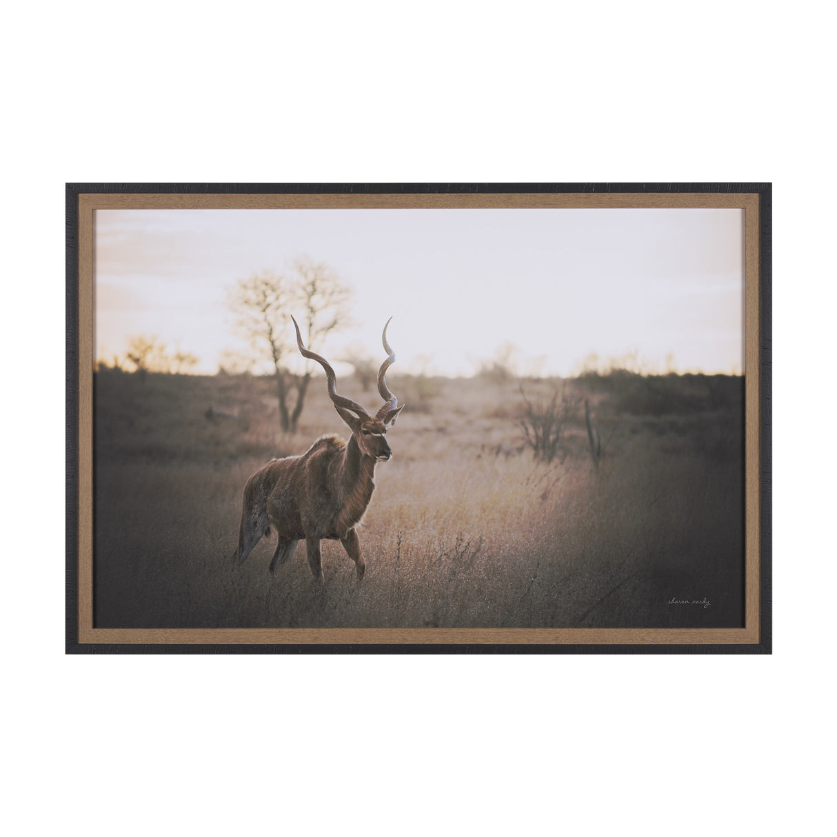 Kudu Bull by Sharon Vardy a Hand Embellished Framed Photo Art Print Matted under Glass from Mercana - Luna Furniture