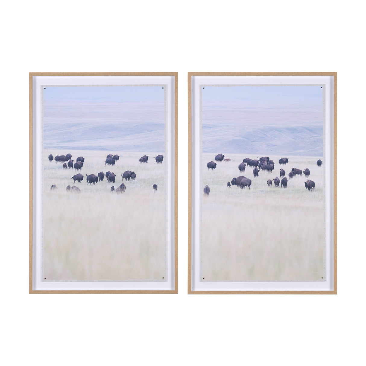 Grazing Herd (Set of 2) by Chad Mackay a Framed Photo Art Print Matted under Glass from Mercana - Luna Furniture