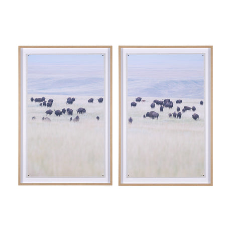 Grazing Herd (Set of 2) by Chad Mackay a Framed Photo Art Print Matted under Glass from Mercana - Luna Furniture
