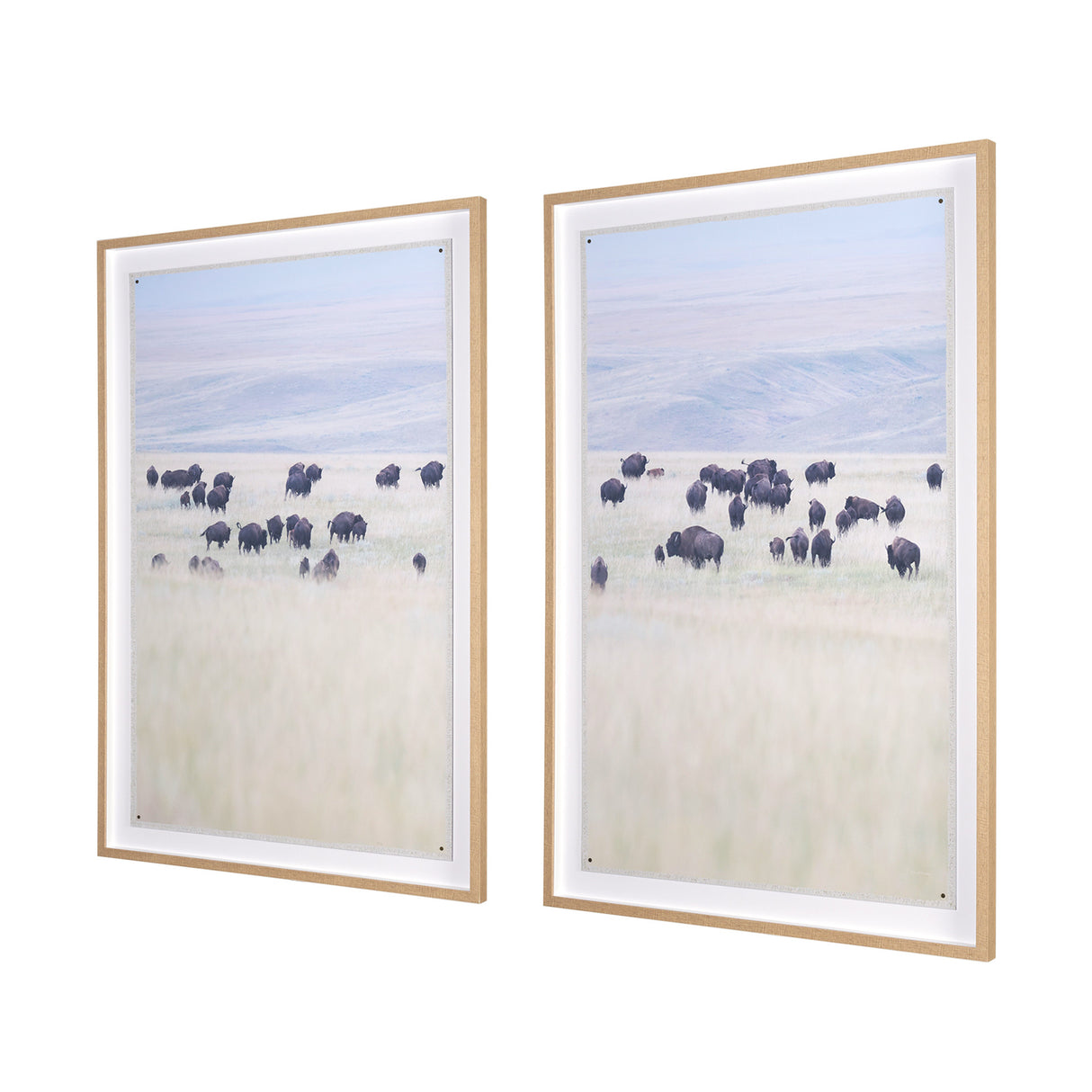 Grazing Herd (Set of 2) by Chad Mackay a Framed Photo Art Print Matted under Glass from Mercana - Luna Furniture