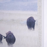 Grazing Herd (Set of 2) by Chad Mackay a Framed Photo Art Print Matted under Glass from Mercana - Luna Furniture