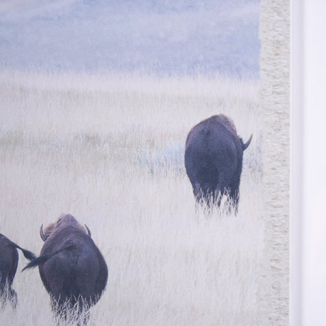 Grazing Herd (Set of 2) by Chad Mackay a Framed Photo Art Print Matted under Glass from Mercana - Luna Furniture