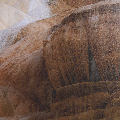 Liquid Travertine by Gary Blatter a Hand Embellished Framed Photo Art Print from Mercana - Luna Furniture
