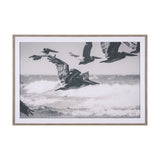 Pelican Beach by Nathan Larson a Hand Embellished Framed Photo Art Print Matted under Glass from Mercana - Luna Furniture