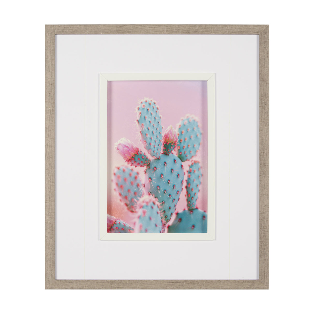 Blush Botanicals - Prickles by Philippe Hugonnard a Hand Embellished Framed Photo Art Print Matted u from Mercana - Luna Furniture