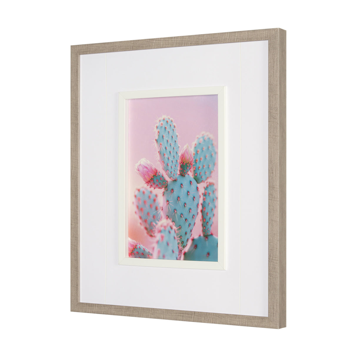 Blush Botanicals - Prickles by Philippe Hugonnard a Hand Embellished Framed Photo Art Print Matted u from Mercana - Luna Furniture