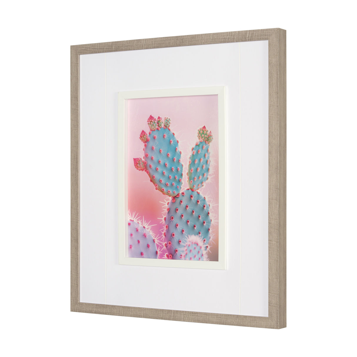 Blush Botanicals - Spines by Philippe Hugonnard a Hand Embellished Framed Photo Art Print Matted und from Mercana - Luna Furniture