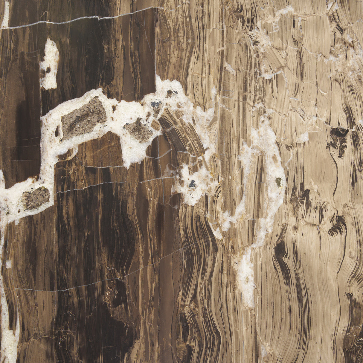 Jovia Brown Mango Wood W/ Cappuccino Marble Round Coffee Table from Mercana - Luna Furniture