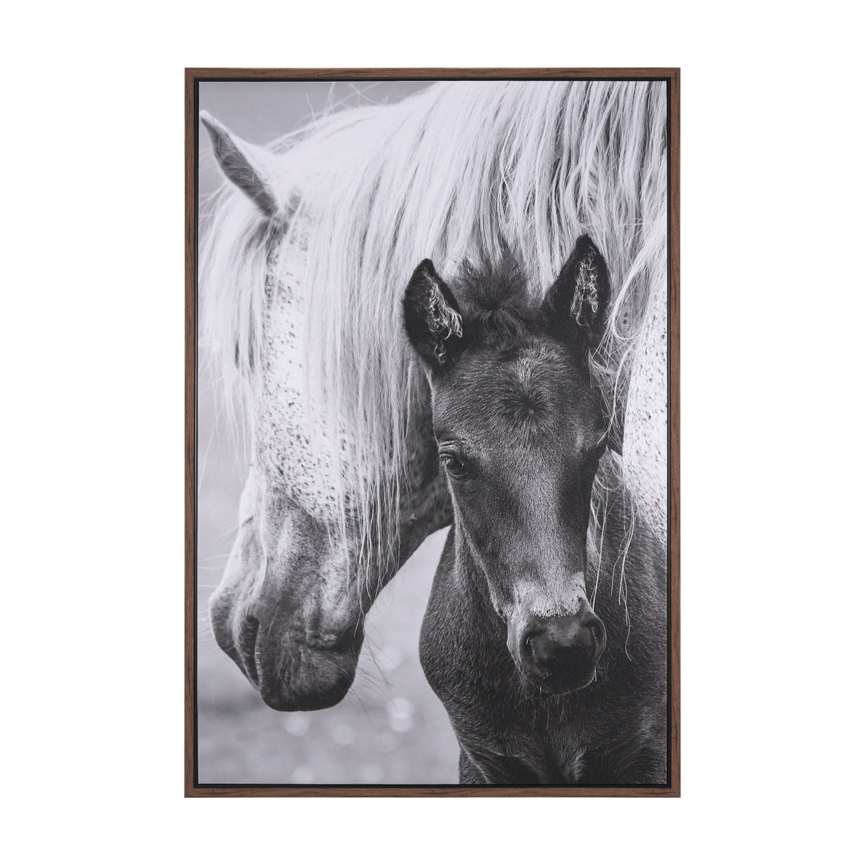 The Foal by Mercana Studio a Hand Embellished Textured Framed Canvas from Mercana - Luna Furniture