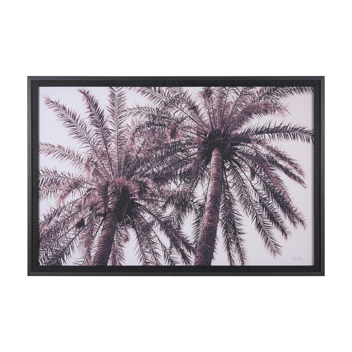 Pink Palms Horizontal by Deborah Revell a Framed Photo Art Print Matted under Glass from Mercana - Luna Furniture