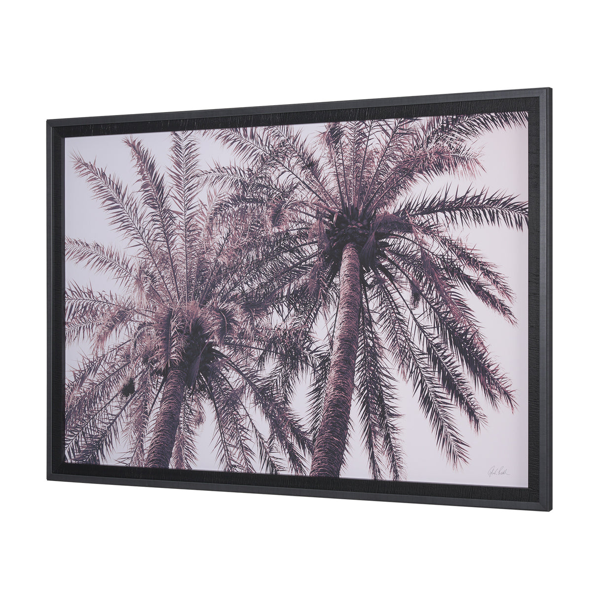Pink Palms Horizontal by Deborah Revell a Framed Photo Art Print Matted under Glass from Mercana - Luna Furniture