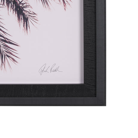 Pink Palms Horizontal by Deborah Revell a Framed Photo Art Print Matted under Glass from Mercana - Luna Furniture