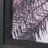 Pink Palms Horizontal by Deborah Revell a Framed Photo Art Print Matted under Glass from Mercana - Luna Furniture