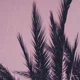 Pink Palms I by Deborah Revell a Hand Embellished Framed Photo Art Print from Mercana - Luna Furniture