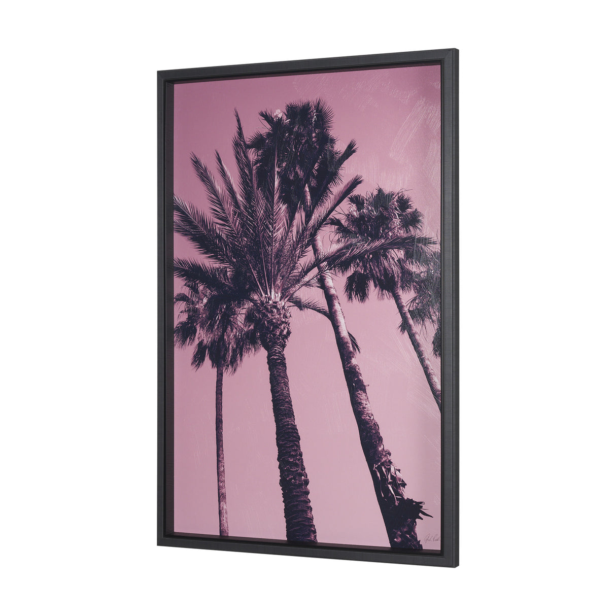 Pink Palms II by Deborah Revell a Hand Embellished Framed Photo Art Print from Mercana - Luna Furniture