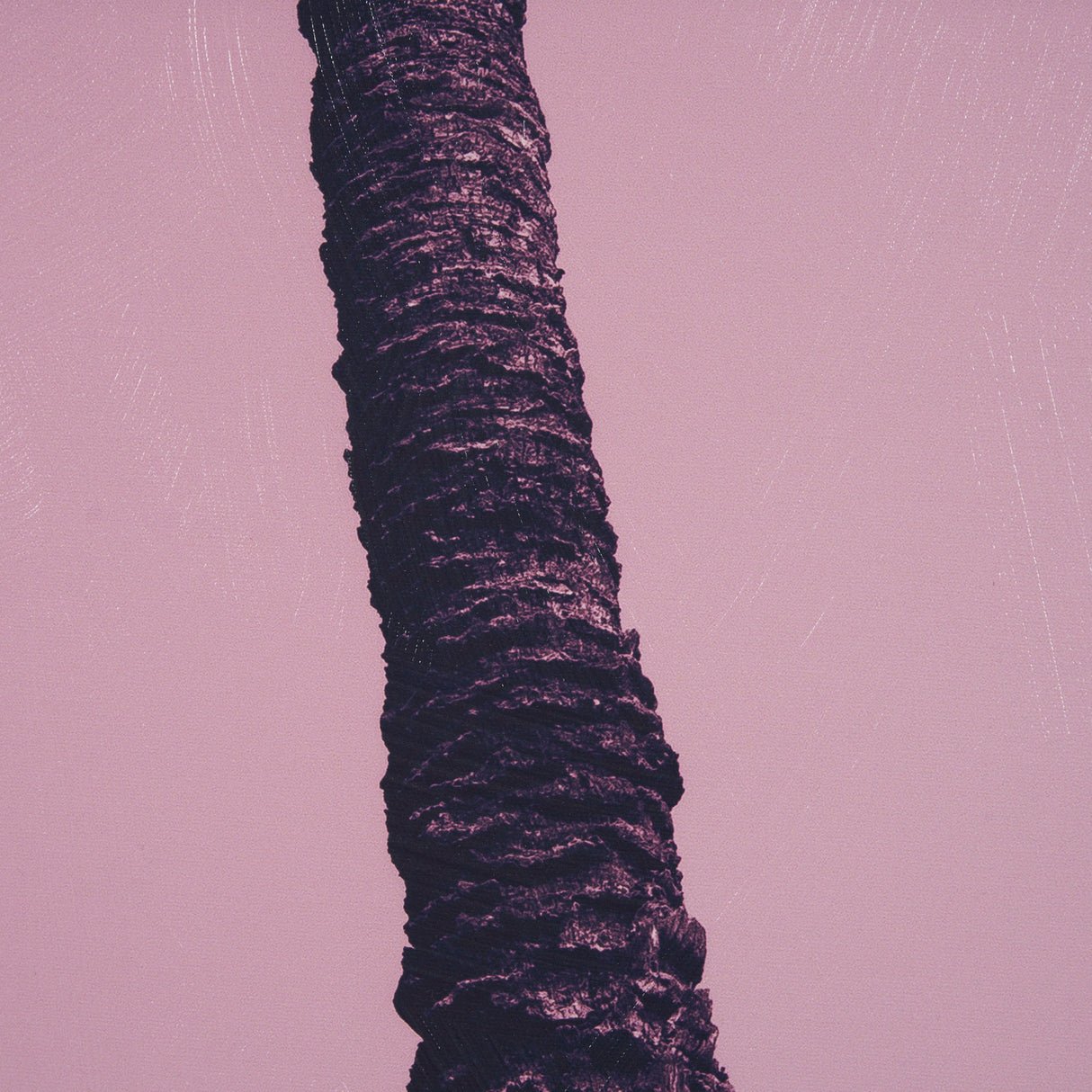 Pink Palms II by Deborah Revell a Hand Embellished Framed Photo Art Print from Mercana - Luna Furniture