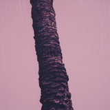 Pink Palms II by Deborah Revell a Hand Embellished Framed Photo Art Print from Mercana - Luna Furniture