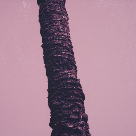 Pink Palms II by Deborah Revell a Hand Embellished Framed Photo Art Print from Mercana - Luna Furniture