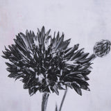 Wonderful Wildflowers VIII Neutral by Deborah Revell a Hand Embellished Framed Art Print Matted unde from Mercana - Luna Furniture