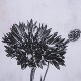 Wonderful Wildflowers XV Neutral by Deborah Revell a Hand Embellished Framed Art Print Matted under from Mercana - Luna Furniture