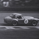 Hot on the Tail by Ben Wood a Hand Embellished Framed Photo Art Print Matted under Glass from Mercana - Luna Furniture
