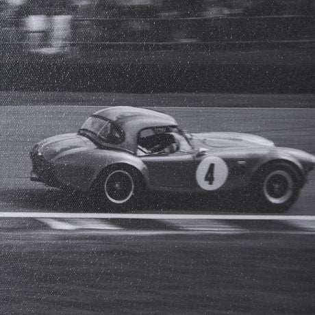Hot on the Tail by Ben Wood a Hand Embellished Framed Photo Art Print Matted under Glass from Mercana - Luna Furniture