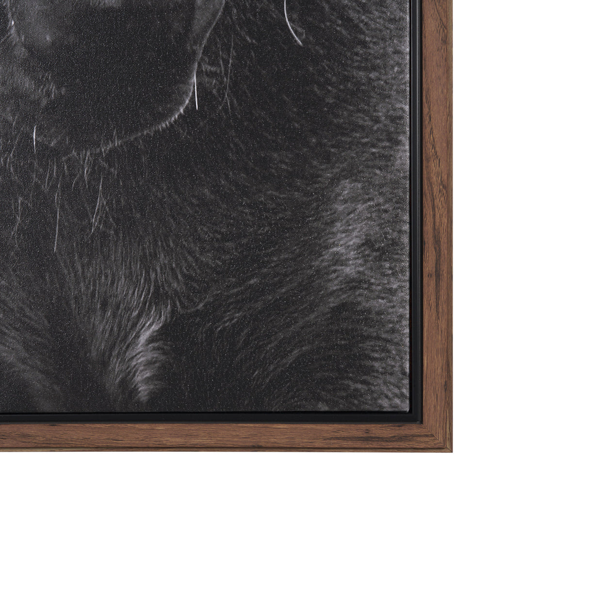 The Foal by Mercana Studio a Hand Embellished Textured Framed Canvas from Mercana - Luna Furniture