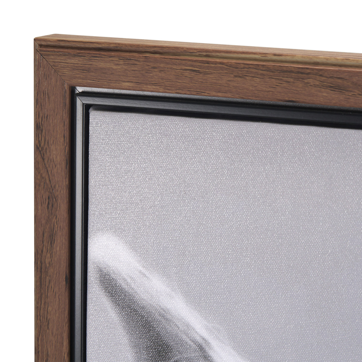 The Foal by Mercana Studio a Hand Embellished Textured Framed Canvas from Mercana - Luna Furniture