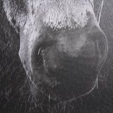 The Foal by Mercana Studio a Hand Embellished Textured Framed Canvas from Mercana - Luna Furniture