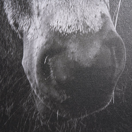 The Foal by Mercana Studio a Hand Embellished Textured Framed Canvas from Mercana - Luna Furniture