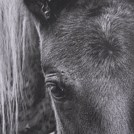The Foal by Mercana Studio a Hand Embellished Textured Framed Canvas from Mercana - Luna Furniture