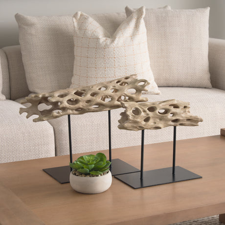 Dwell Cholla Wood Resin Decorative Object from Mercana - Luna Furniture