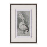 Pelican Sketch by Mercana Studio a Hand Embellished Framed Art Print Matted under Glass from Mercana - Luna Furniture