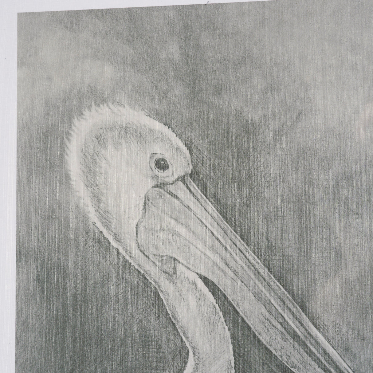 Pelican Sketch by Mercana Studio a Hand Embellished Framed Art Print Matted under Glass from Mercana - Luna Furniture