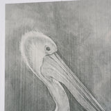 Pelican Sketch by Mercana Studio a Hand Embellished Framed Art Print Matted under Glass from Mercana - Luna Furniture