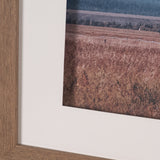 Historic Row IV by Nathan Larson a Framed Photo Art Print Matted under Glass from Mercana - Luna Furniture