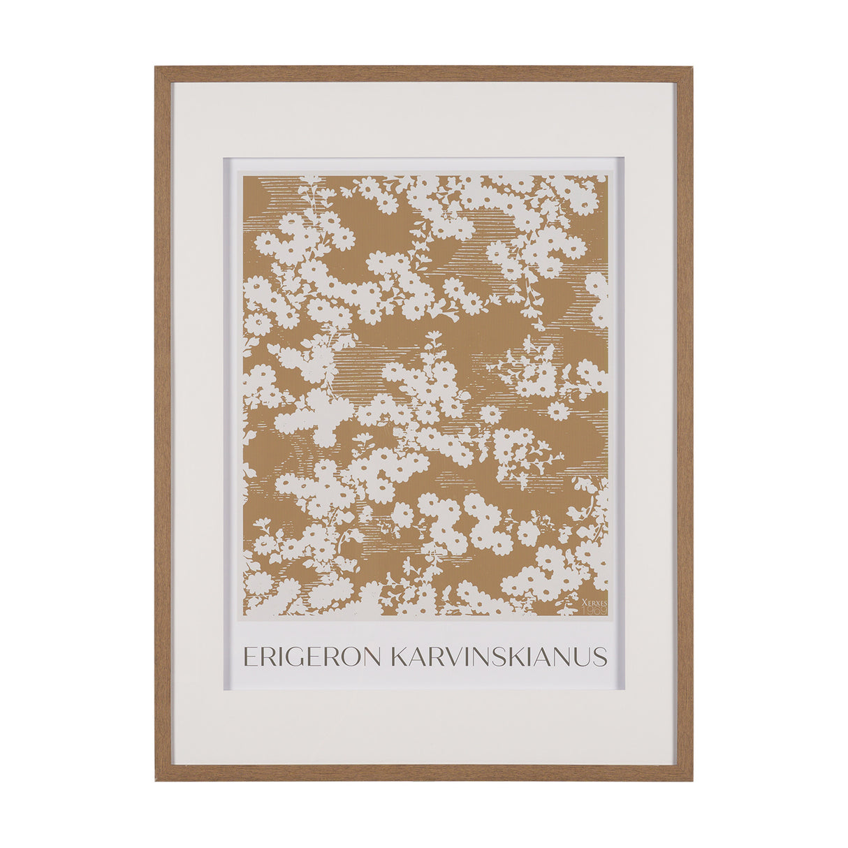 Belleza En Flores II by Mercana Studio a Framed Art Print Matted under Glass from Mercana - Luna Furniture