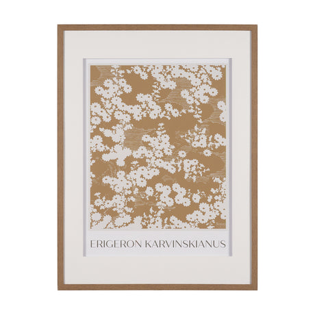 Belleza En Flores II by Mercana Studio a Framed Art Print Matted under Glass from Mercana - Luna Furniture