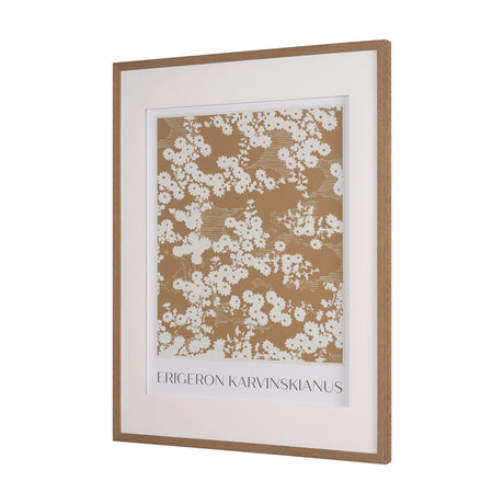 Belleza En Flores II by Mercana Studio a Framed Art Print Matted under Glass from Mercana - Luna Furniture