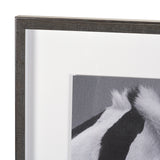 Horse Harmony - Caress by Laura Warren a Hand Embellished Framed Photo Art Print Matted under Glass from Mercana - Luna Furniture