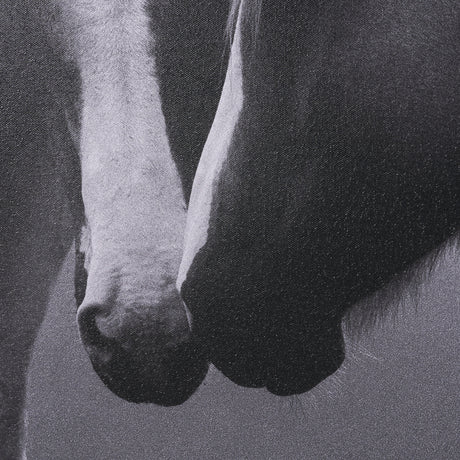 Horse Harmony - Caress by Laura Warren a Hand Embellished Framed Photo Art Print Matted under Glass from Mercana - Luna Furniture