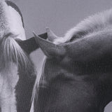 Horse Harmony - Caress by Laura Warren a Hand Embellished Framed Photo Art Print Matted under Glass from Mercana - Luna Furniture
