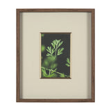 Green Growth by Michael Banks a Hand Embellished Framed Photo Art Print Matted under Glass from Mercana - Luna Furniture