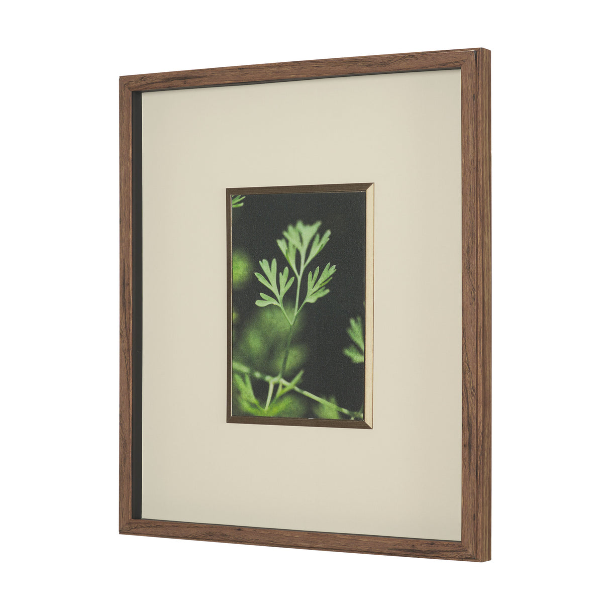 Green Growth by Michael Banks a Hand Embellished Framed Photo Art Print Matted under Glass from Mercana - Luna Furniture