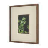 Green Growth by Michael Banks a Hand Embellished Framed Photo Art Print Matted under Glass from Mercana - Luna Furniture
